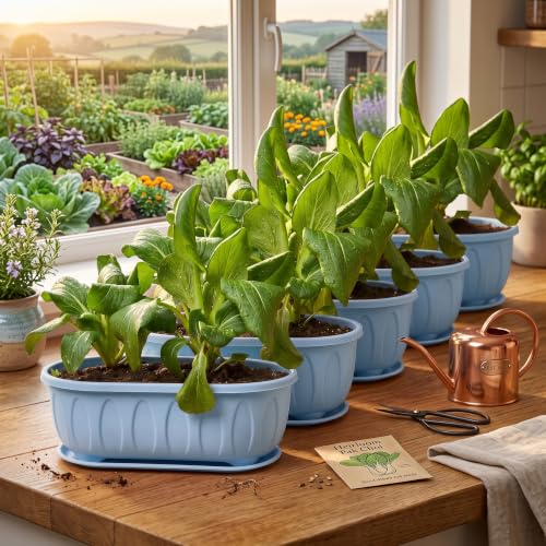 Image of Plastic Rectangle Round Corner Flower Pots with Drainage Hole Saucers Durable Outdoor Indoor Planters with Tray Plant Containers for Balcony, Garden, Home & Office (Sky, 5)