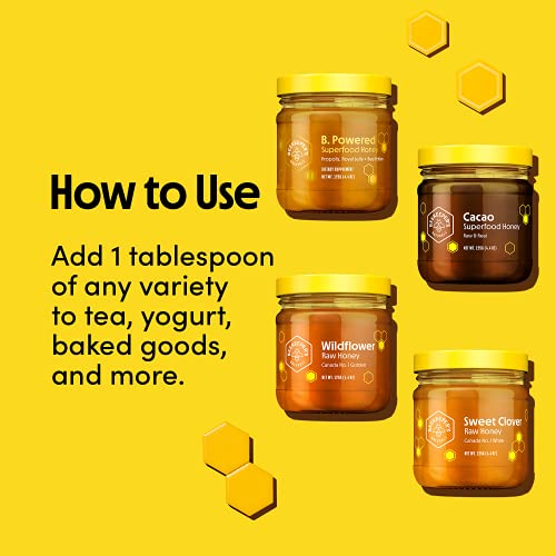 BEEKEEPER'S NATURALS 100% Raw Honey Sampler Gift Box - Natural & Crystallized - Eco-Friendly, Non-Toxic, Non-GMO, Gluten-Free, Sustainable - Paleo Friendly (Set of 4 Glass Jars)