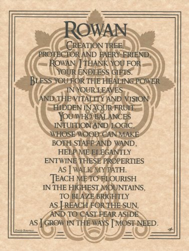 Rowan Tree of Protection and Enchantment Parchment Poster