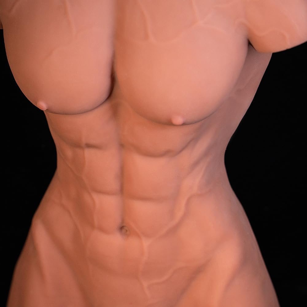 jy-doll tpe sex doll Male Sex Torsos Back In Stock – Lucidtoys