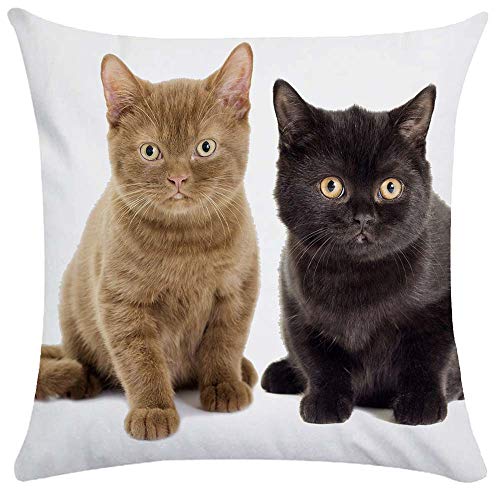 WEIANG Housse de Coussin Double Side Motif Chat 50 x 50 cm Cover