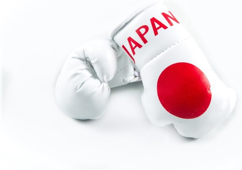 Mini Boxing Gloves Japan, set of 2 mini boxing gloves for car interior mirror