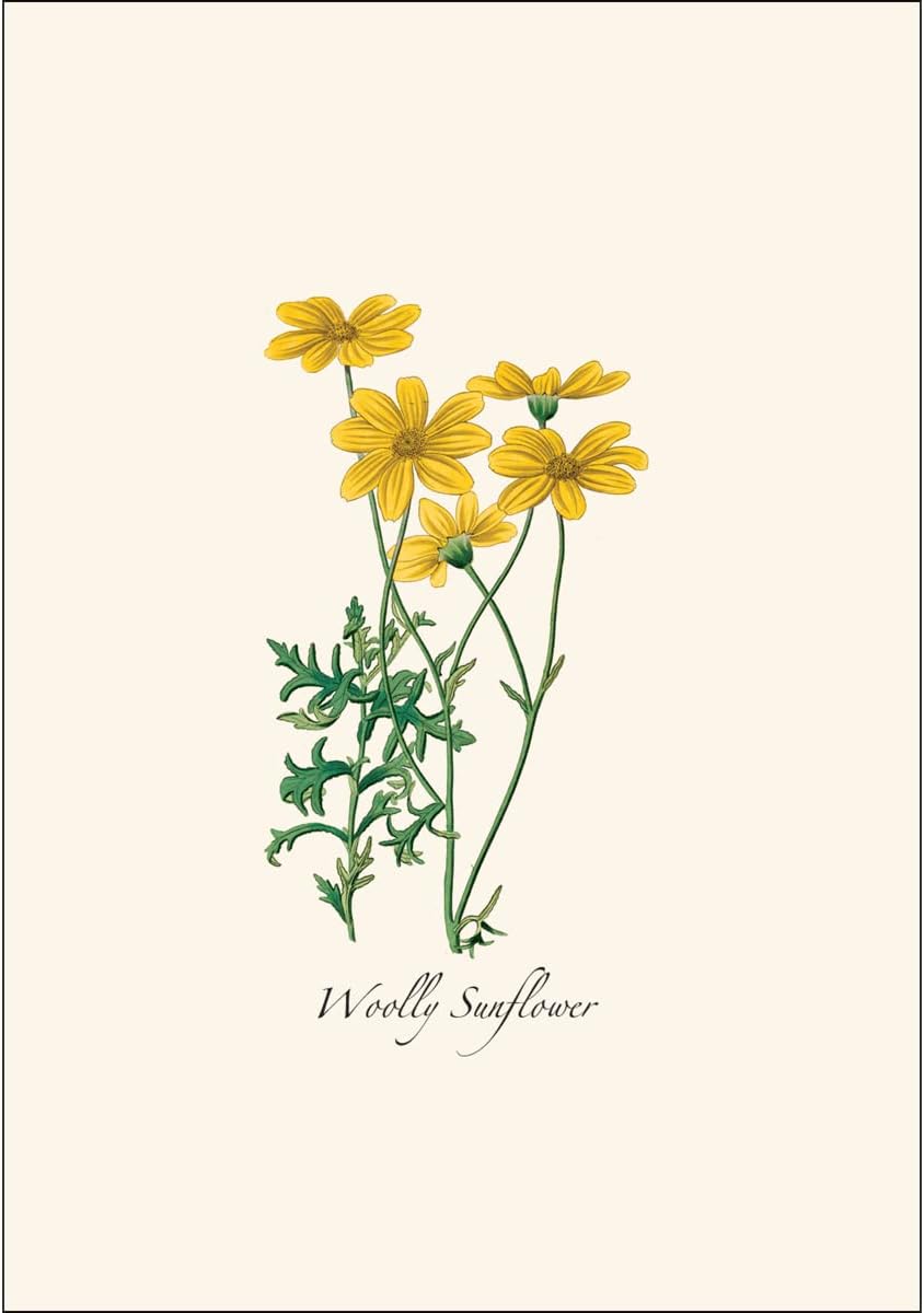 Earth Sky + Water - Western Wildflower Assortment Notecard Set - 8 Blank Cards with Envelopes (2 each of 4 styles) - Image 5