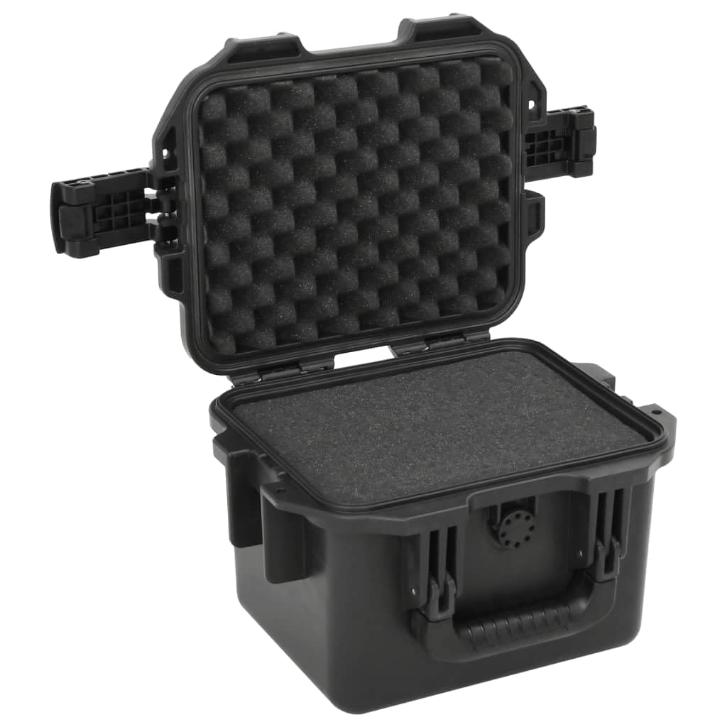 Valise de Vol Portable Noir 30x24,5x20 cm PP Mallette Rigide Boîte de Rangement avec Inserts en Mousse Amovibles, étui de Transport Valise de Protection