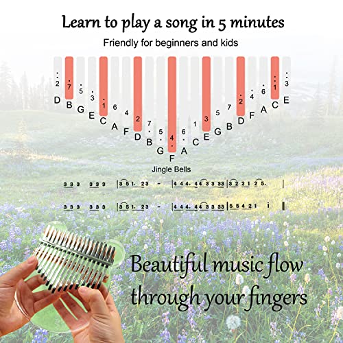 Acrylic Kalimba Thumb Piano,YUNDIE Portable 17 Keys Mbira Crystal Finger Piano, Musical Instruments Birthday Gift for Adult Beginners Professional(Clear) (17 Keys)3