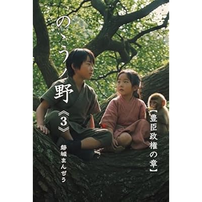 ののうノ野《3》: 豊臣政権の章 (宝虫ノベルズ)
