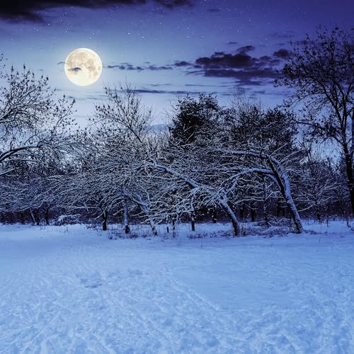 Erebus hosting 'Nightmare AFTER Christmas' for limited time Podcast Por  arte de portada