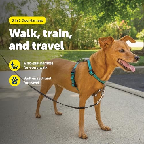 Image of PetSafe Teal 3-in-1 Harness, Extra Small