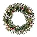 National Tree 24 Inch Frosted Berry Wreath with 50 Clear Lights (FRB-24WLO-1)