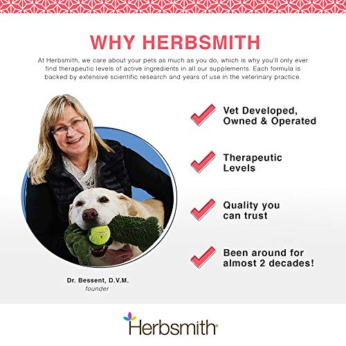 Herbsmith Senior Dog Wisdom – Dog Dementia Supplement – DHA for Senior Dog Brain Health - Senior Supplement for Dogs- 75g