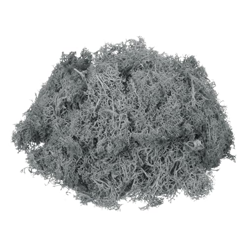 MECCANIXITY 3oz Preserved Reindeer Moss, Grey Decorative Artificial Fake Moss for Potted Plants Indoor Crafts Lichen Centerpieces Decor