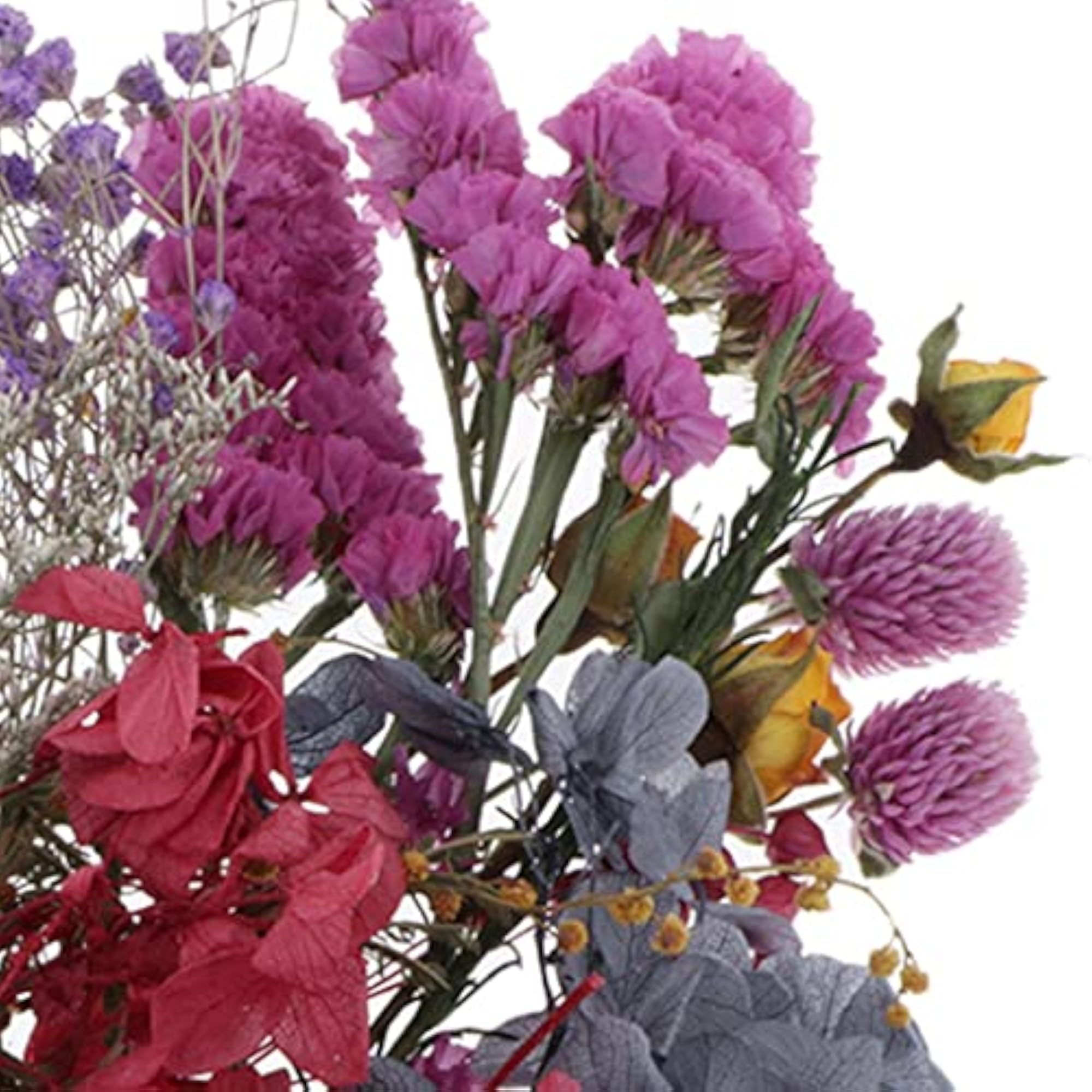 Natural Pressed Dried Flowers Leaves for DIY Art Craft
