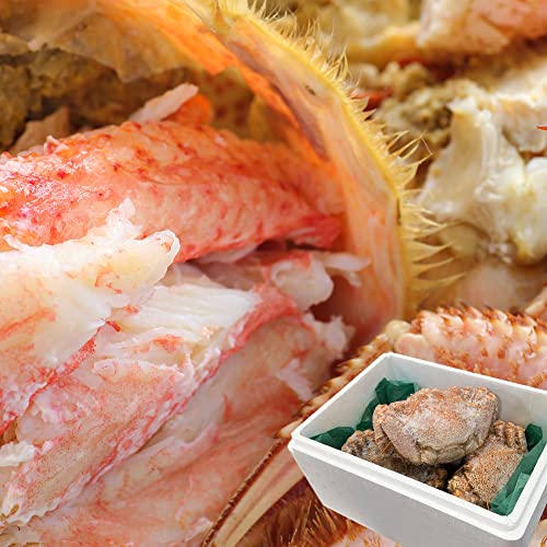  l䥂ŗⓀуKj 4tZbg 2kg`2.4kgi500g`600g/1tj kCՏlY t؏X Jj V[t[h CN O