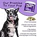 Dental Powder for Dogs Teeth – Dog Dental Powder for Teeth Cleaning – All Natural Bad Dog Breath Treatment with Probiotics for Fresh Breath & Oral Health – Chicken Flavored, 60 Scoop Supply