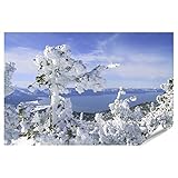 islandburner XXL Bild Poster Lake Tahoe Im Winter Schnee 