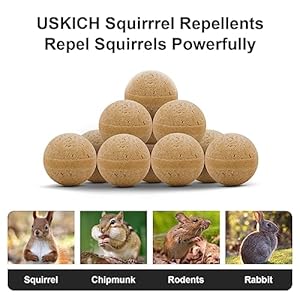 20Pack-Squirrel-Repellent-Outdoor-Chipmunk-Repellent-OutdoorRodent-RepellentSquirrel-Repellent-for-Attic-and-Cars-Engines-Ultra-Powerful-Squirrel-Deterrent-Keep-Squirrels-Out-of-Garden - Cucciolini Doodles   20Pack-Squirrel-Repellent-Outdoor-Chipmunk-Repellent-OutdoorRodent-RepellentSquirrel-Repellent-for-Attic-and-Cars-Engines-Ultra-Powerful-Squirrel-Deterrent-Keep-Squirrels-Out-of-Garden