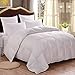 HOMFY Premium Cotton Comforter Queen,Quilted Comforter with Corner Tabs, Hypoallergenic, Soft and Breathable (White, Queen (88"x 88"))