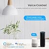 Zigbee WiFi Mini Smart Switch Relay Module 2 Way Dual-Mode Control 16A Switch for Smart Home Automation, Compatible with Alexa Google Home