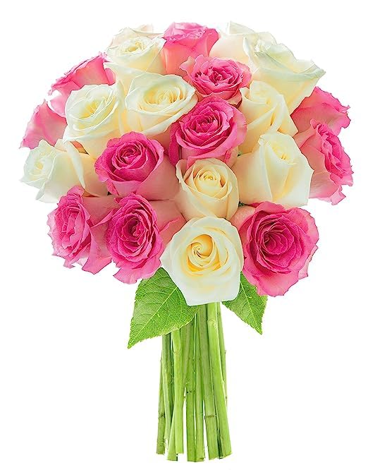 KaBloom Prime Next Day Delivery - Colección para el Día de la Madre - Ramo de 12 rosas 12 rosas blancas. Regalo para cumpleaños, recuperarse,