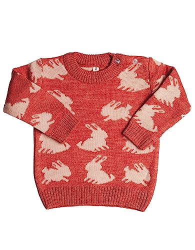 Image of CUBS & HUGS Full Sleeves Baby Woolen Sweater Pullover Cardigan