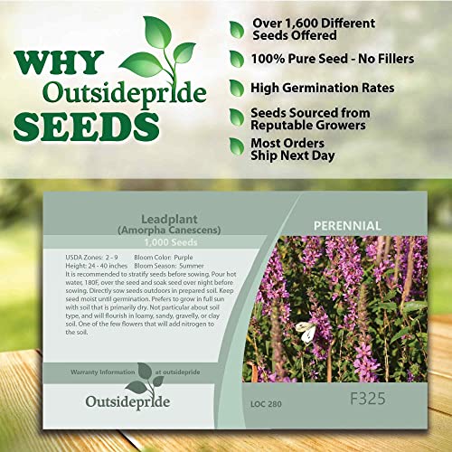 Outsidepride Leadplant Shrub-Like Perennial Flower Seeds - 2000 Seeds #TOP1