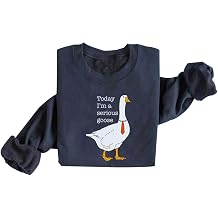 DIOMMELL Today Im A Serious Goose & Funny Goose Sweatshirt