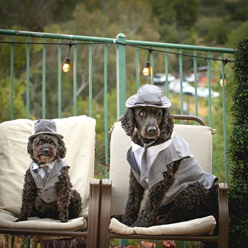 Midlee Dog Tuxedo Wedding Suit- Gray Top Hat & Leash (5Xl) #TOP6