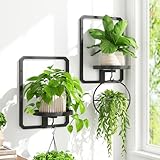 iDavosic.ly Wall Plant Picture Frame Holder Set of 2 for Indoor, Metal Stand with Hanging Hooks, Floating Flower Display Decor, Space Saving & Easy to Assemble (Pots/Chains/Plants Not Included)