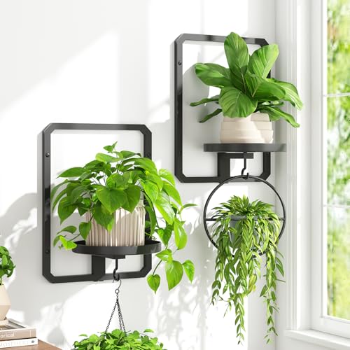 iDavosic.ly Wall Plant Picture Frame Holder Set of 2 for Indoor, Metal Stand with Hanging Hooks, Floating Flower Display Decor, Space Saving & Easy to Assemble (Pots/Chains/Plants Not Included)