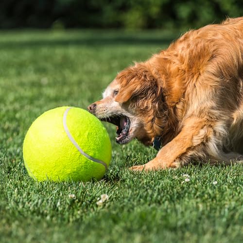 VILLFUL Großer Tennisball Für Haustiere Strapazierfähiges Nylon-Spielzeug Für Hunde Und Katzen Für Outdoor-aktivitäten Und Strandspaß
