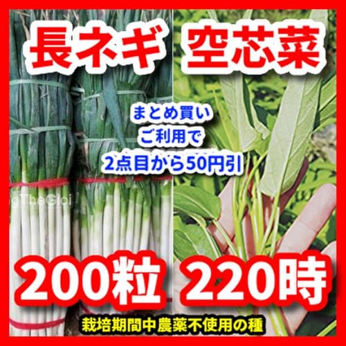 空芯菜」の人気商品一覧 | 安い商品を通販サイトから探す - 価格.com