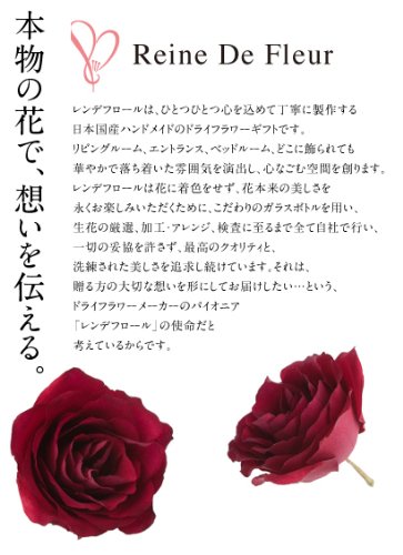 Amazon｜Reine De Fleur レンデフロール 【B-L】 胡蝶蘭・バラ・かすみ