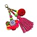 QTMY Cute Pom Pom Tassel Boho Bag Charm Pendant Keyring Keychain for Women Purse Handbag Decor