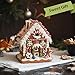 SunArtHome Gingerbread House Decoration, Battery-Operated Light-Up Gingerbread House, Classic Gingerbread Christmas Village Figurines, Handmade Decorations (Style 1)