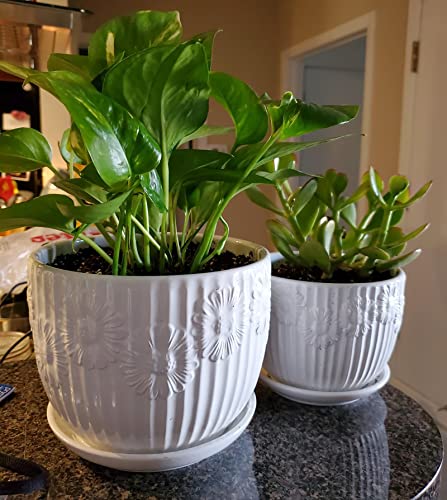 Yesland Set Of 3 Ceramic Plant Pot With Saucer, Small To Medium Sized Round Modern Garden Flower Pots With White Daisy Pattern For Garden #TOP6