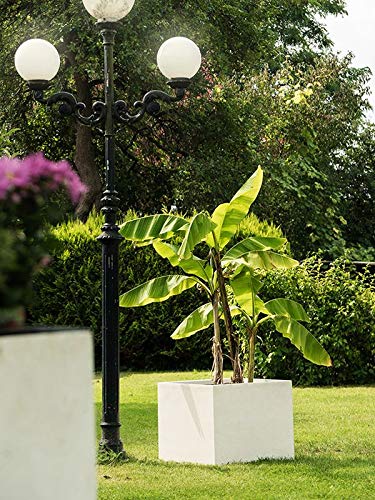 Pflanzwerk® Fioriera Vaso per Fiori Portavaso