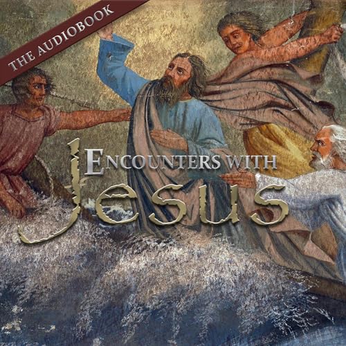 Page de couverture de Encounters with Jesus