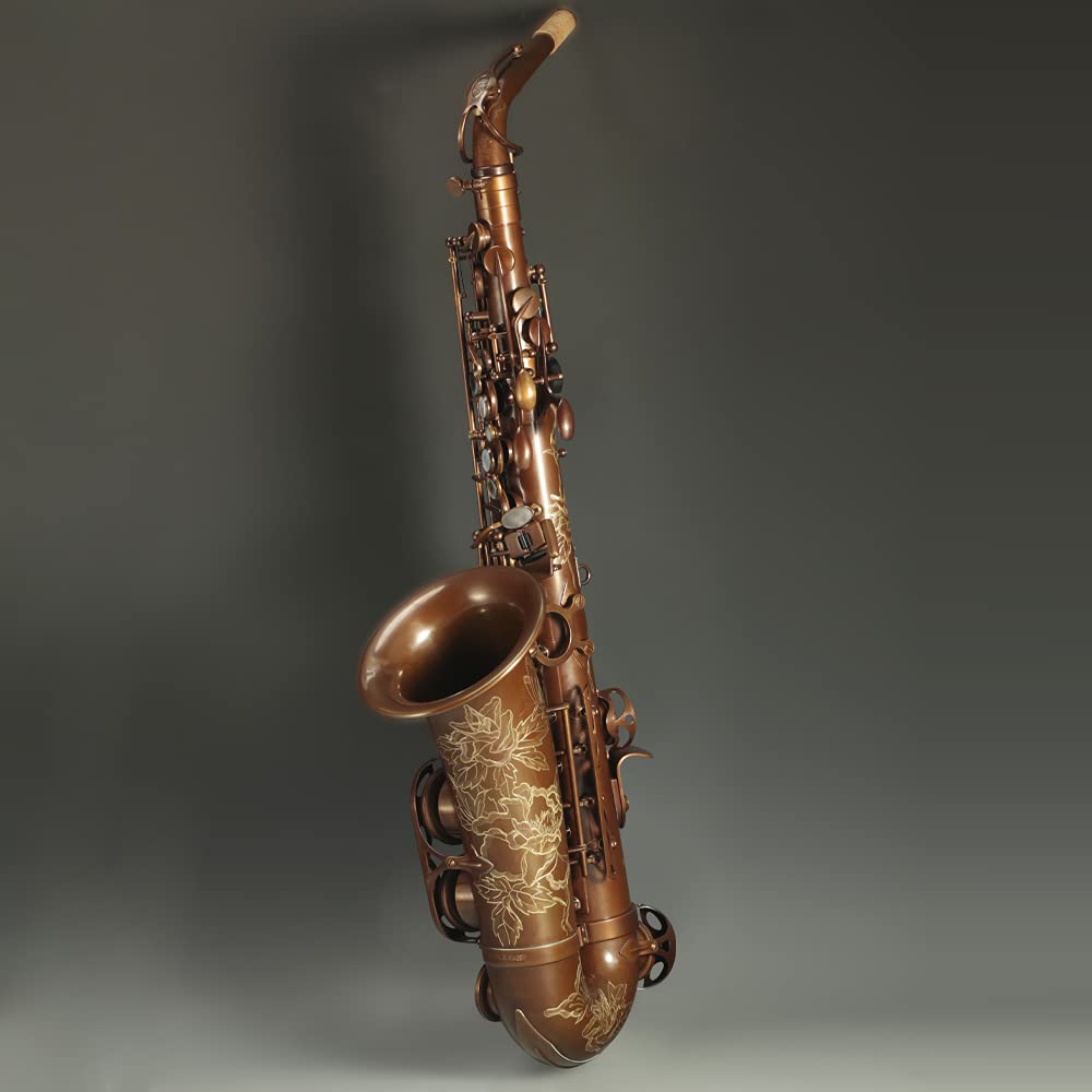 Rollins Saxophone alto RSA-X7, E flat Selmer 54-Key,Matière laiton,Or et cuivre nu