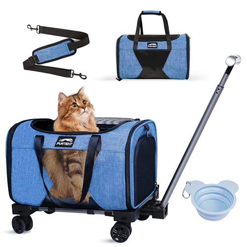 �y�b�g�L�����A ���O���\�ȃz�C�[���t�� American Airline���F �L�k�n���h���ƃV�����_�[�X�g���b�v�t�����[�����O�L���b�g�L�����A �ʋC�� �\�t�g�T�C�h�L�����A ���b�N�W�b�p�[�t�� ���^�L ���p(�u���[)