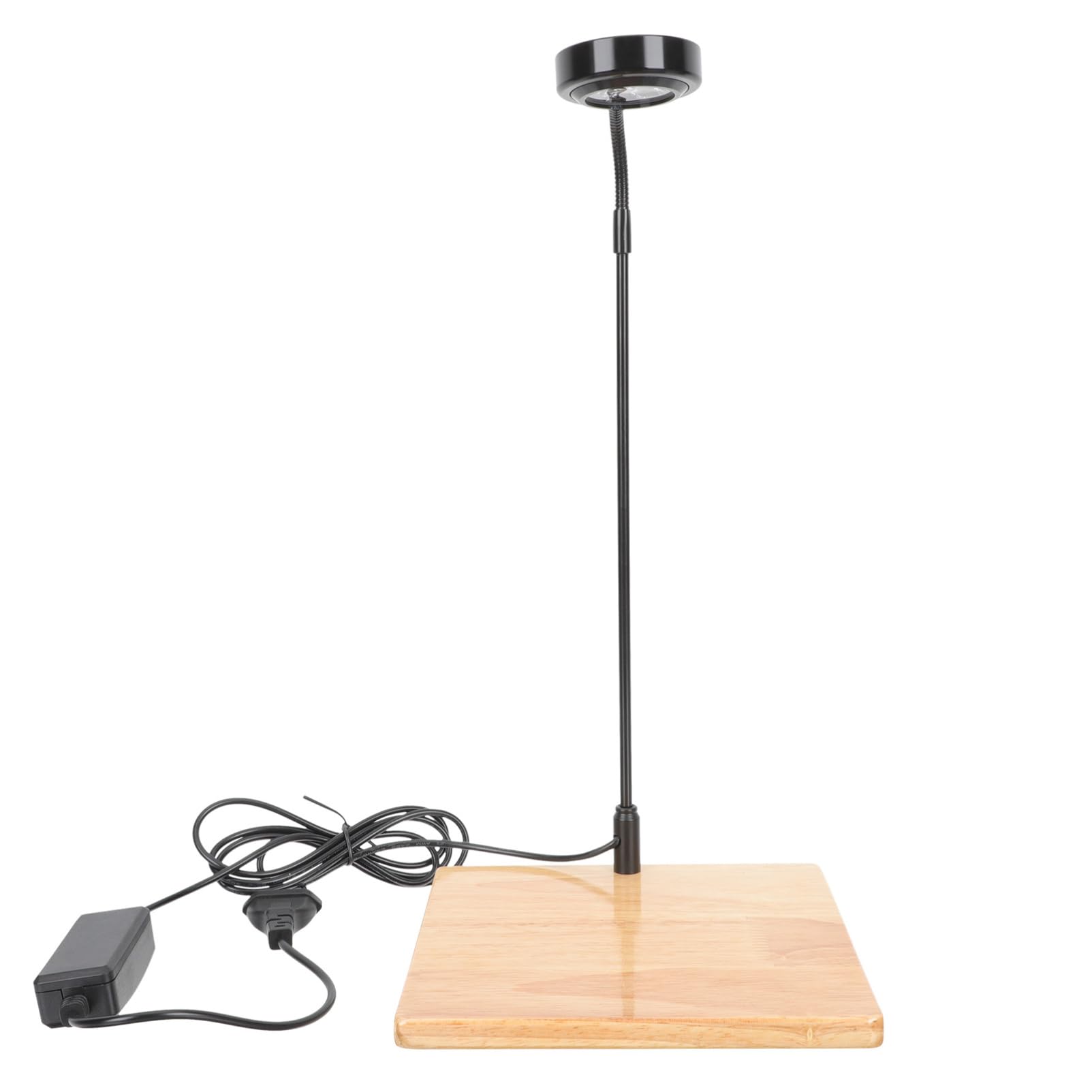 BESPORTBLE Luz Led Para Peceras Base De Madera Lámpara Acuario 3w Ideal Para Plantas Acuáticas
