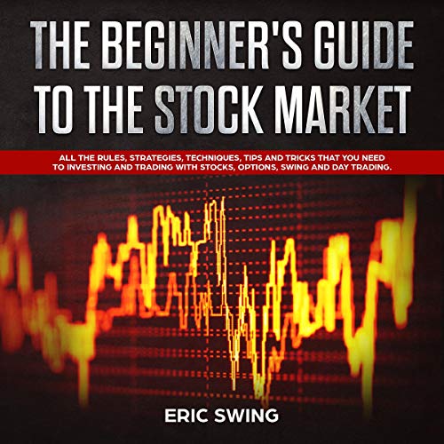 Cover art for The Beginner's Guide to the Stock Market