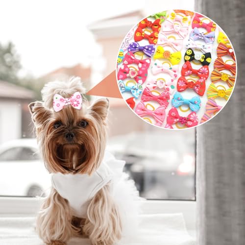arrderly Lot de 30 accessoires pour poils d'animaux de compagnie avec bandes élastiques en caoutchouc, accessoires pour poils de chien, chaton, accessoire de toilettage pour poils longs, chiot et chat – vue 5