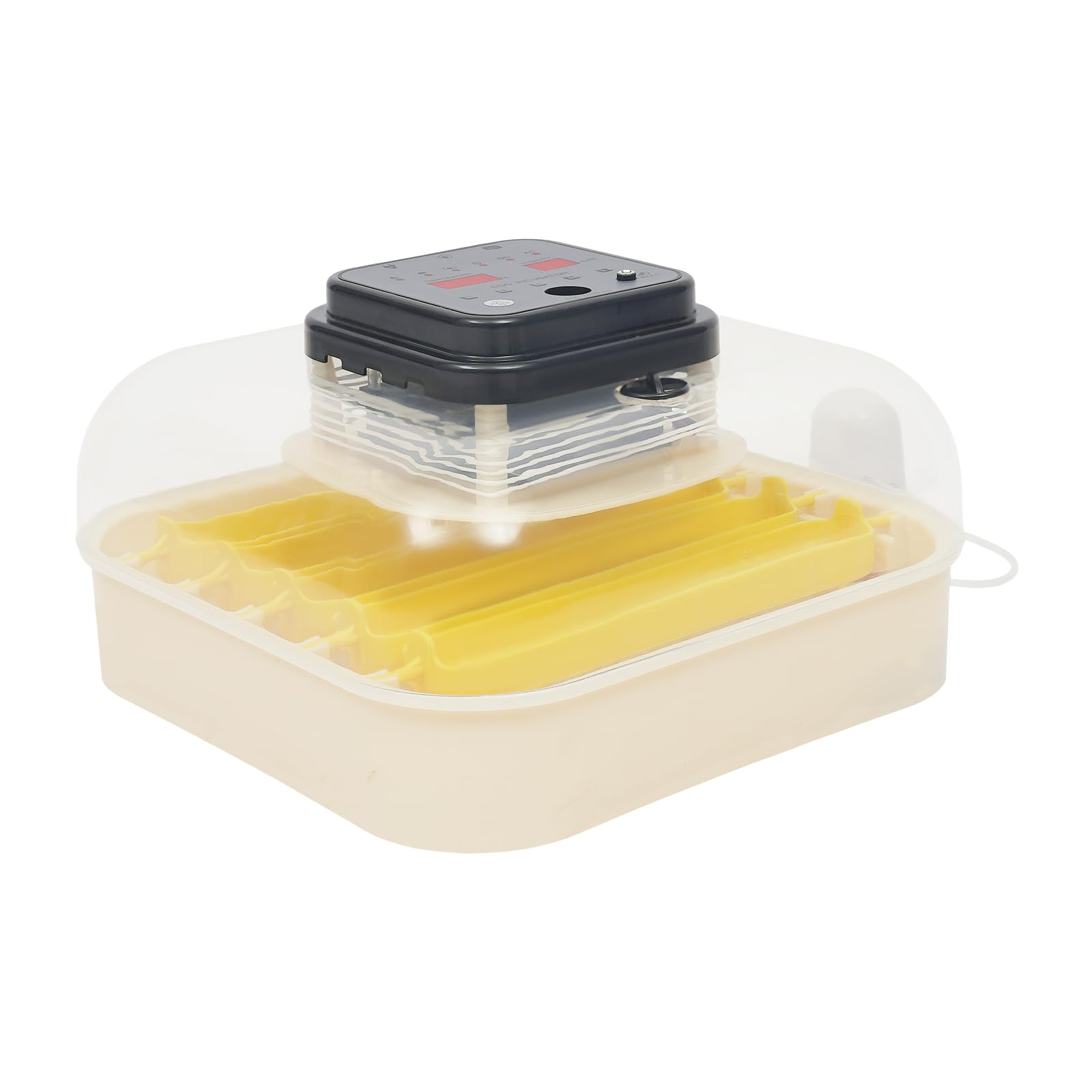 Macchina incubatrice per uova con controllo della temperatura e regolazione dell'umidità, incubatrice con funzione automatica di rotazione 30 uova