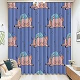 Schützen Sie Möbel Und Böden Vor Sonnenlicht Und Sparen Sie Heiz- Und Kühlkosten.