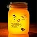 Solar Lights, Solar Lantern powered by Solar! Two different color LED light inside. Great gift for children, friends or famlily! Made of glass, with a handy metal hook!!! Sun light