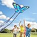 Doinfly 3 Piece Set Butterfly Delta Octopus Kites for Kids and Adults，Easy to Fly for Outdoor Adults Children Line Kite for Kids Toy (Delta Blue Butterfly red Octopus, 3)