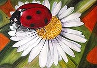 Algopix Similar Product 12 - RTO DE4649 Embroidery Kit - Lady Bug