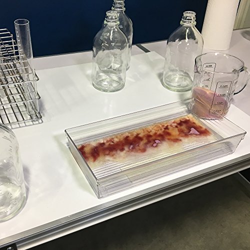 Absorbent Specialty Products Basepadcase Base Neutralizer Pads, Purple, 100 Count #TOP4