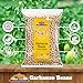 Rani Garbanzo Beans (Kabuli Chana) 64oz (4lbs) 1.81kg Bulk ~ All Natural | Vegan | Gluten Friendly | NON-GMO | Kosher | Indian Origin