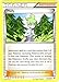 Pokemon - Wally (94/108) - XY Roaring Skies